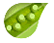 素菜