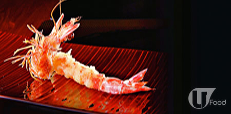 SAIKOU高