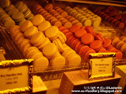 香橙花 玫瑰花茶