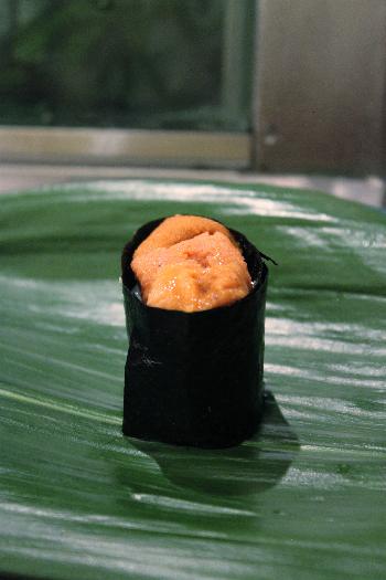 海膽